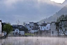 如何泡茶：茶叶泡制技巧解析